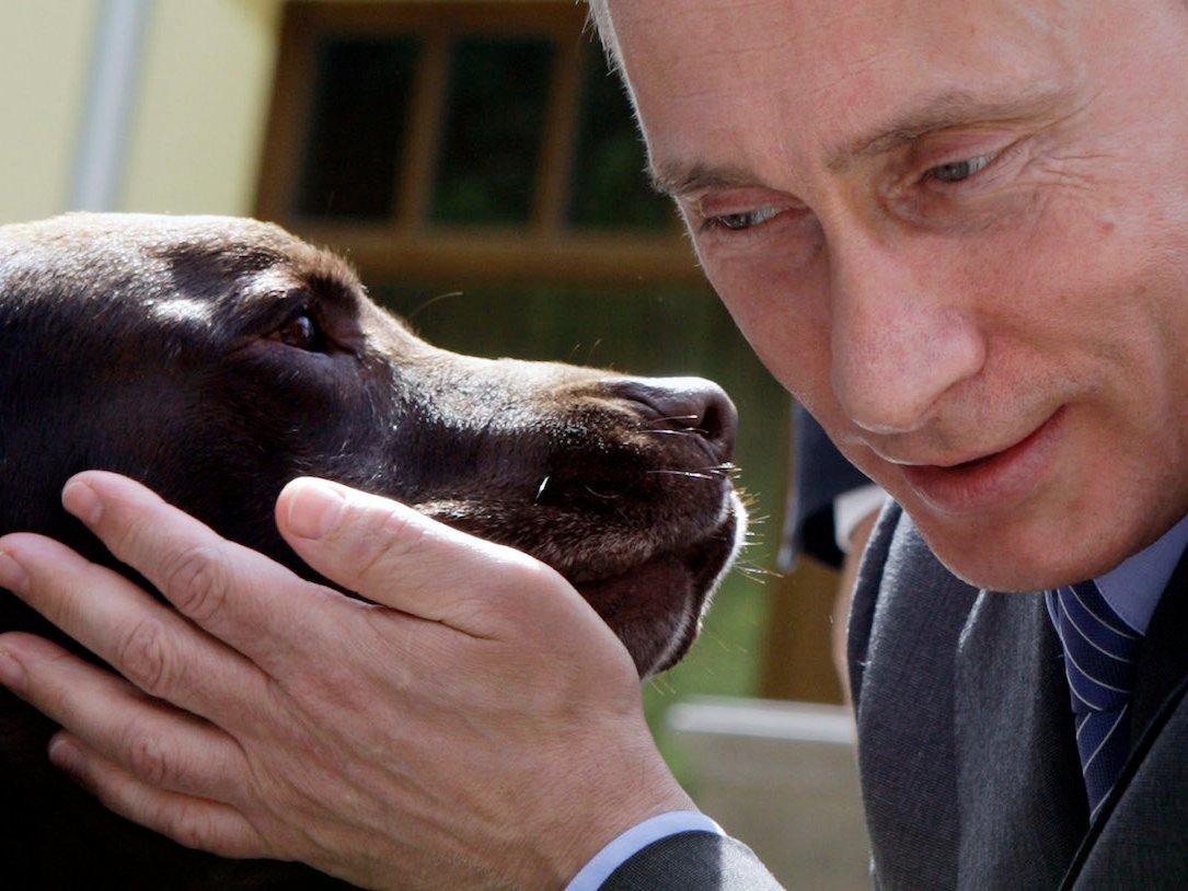 بوتين والكلاب
